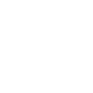dolly icon